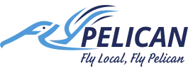 Fly Pro